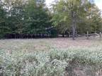 Plot For Sale In Blossom, Texas