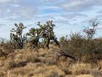 Yucca, Mohave County, AZ Farms and Ranches for sale Property ID: 418551346