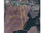 Plot For Sale In Savoy, Texas