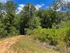 Plot For Sale In Woodville, Texas