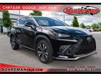 2020 Lexus NX 300 F SPORT