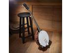 OPEN BOX - 5-String Banjo - Full Size w/ Closed Back, Mahogany Resonator