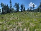 Plot For Sale In Bellvue, Colorado