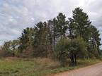 Brantwood, Price County, WI Undeveloped Land for sale Property ID: 418643460