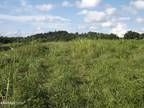 New Tazewell, Claiborne County, TN Undeveloped Land, Homesites for sale Property