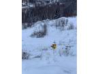 0 Gale Street, Corner Brook, NL, A2H 5R4 - vacant land for sale Listing ID