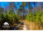 Lodge, Colleton County, SC Recreational Property, Hunting Property for sale
