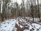 Hornby, Steuben County, NY Timberland Property, Hunting Property for sale