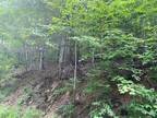 Plot For Sale In Sevierville, Tennessee