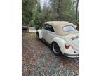 1972 Volkswagen Beetle