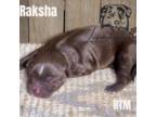 Raksha