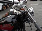 1985 Harley Davidson Fxst Fxst Softail