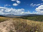 Plot For Sale In Almont, Colorado