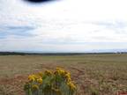 17 9 Loop Lot 12 Cortez, CO -