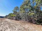 Plot For Sale In Leesville, South Carolina