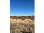 Plot For Sale In Boys Ranch, Texas