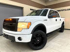2009 Ford F-150 FX4 SuperCrew 5.5-ft. Bed 4WD