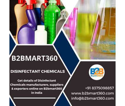 Discover the prices of Disinfectant Chemicals at B2bmart 360 is a Other Services service in New Delhi DL