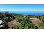 Captain Cook, Hawaii County, HI Undeveloped Land for sale Property ID: 418516004