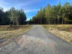 Butler, Taylor County, GA Undeveloped Land for sale Property ID: 418518883