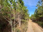 Alma, Bacon County, GA Recreational Property, Hunting Property for sale Property