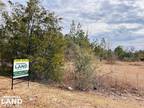 Butler, Taylor County, GA for sale Property ID: 418858592
