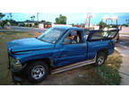 1999 Dodge Ram 1500 2dr Reg Cab 119 WB