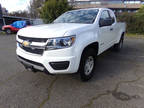 2019 Chevrolet Colorado 4WD Ext Cab 128.3 Work Truck