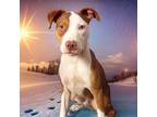 Adopt RIP a Mixed Breed