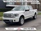 2014 Ford F-150 Platinum