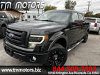 2010 Ford F-150 SuperCrew FX4