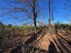 Plot For Sale In Eads, Tennessee