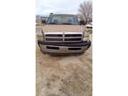 2001 Dodge Ram 1500 2dr Reg Cab 119 WB Work Special