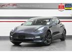 2019 Tesla Model 3 Standard Plus No Accident Autopilot Navigation