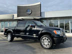 2011 Ford F-150 Platinum 4WD 3.5L ECOBOOST SUNROOF CAMERA