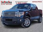 2013 Ford F-150 Platinum