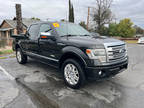 2013 Ford F-150 4WD Platinum