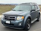 2010 Ford Escape 4WD 4dr XLT