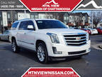 2019 Cadillac Escalade ESV Premium Luxury