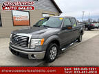 2010 Ford F-150 XLT SuperCrew 5.5-ft. Bed 2WD