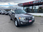 2010 Ford Escape XLT AWD 4dr SUV