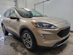 2020 Ford Escape SELAWD20LGPSCuirGr