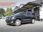 2018 Cadillac Escalade 4WD 4dr Platinum