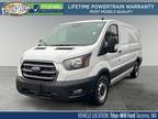 2020 Ford Transit Cargo Van