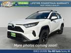 2019 Toyota RAV4 Hybrid LE