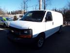 2010 Chevrolet Express 1500 Cargo