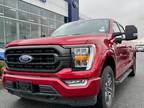 2021 Ford F-150 MOONROOF | LEATHER SEATS | LOW KMS | NAVIGATION | BLUETOOTH |