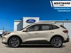 2021 Ford Escape SEL - Power Liftgate - Park Assist