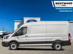 2023 Ford Transit Cargo Van