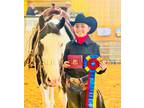 Double Registered Paint/Pinto Show Gelding